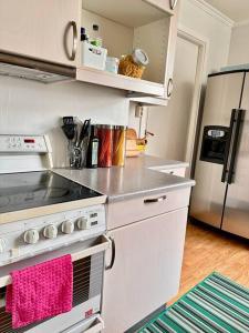 奥勒松Unik Jugend leilighet i sentrum的厨房配有炉灶和冰箱。