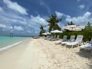 迪弗西Dhiffushi Island Villa的海滩上的一排椅子和遮阳伞
