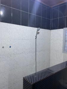 克里比La Maison Du Voyageur的浴室铺有蓝色和白色瓷砖,设有淋浴。