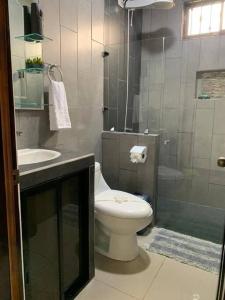 福尔图纳Casa RODME的浴室配有卫生间、盥洗盆和淋浴。