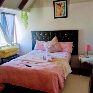 开普敦Room in BB - Zagorskis Bed and breakfast close to the beach and commodities的一间卧室配有一张带粉红色床单的大床