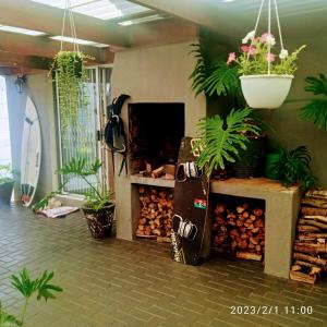 开普敦Room in BB - Zagorskis Bed and breakfast close to the beach and commodities的一间种植了大量植物并设有壁炉的房间