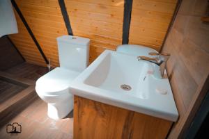 迪利然Triangle House的浴室配有白色水槽和卫生间。