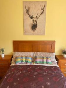 维拉加尔西亚·德·阿劳萨Ático con terraza, piscina y gimnasio的卧室配有一张带鹿头的墙壁床。