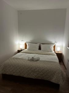 弗尔尼亚奇卡矿泉镇Apartman Sunce的一间卧室配有一张床,上面有两条毛巾