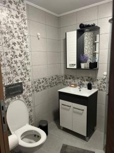 弗尔尼亚奇卡矿泉镇Apartman Sunce的一间带卫生间和水槽的浴室
