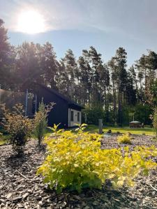 Tiny House w lesie z balią ogrodową平面图