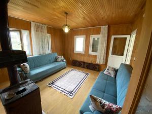 阿克恰阿巴德Hıdırnebimountainhome的客厅设有蓝色的沙发和木墙