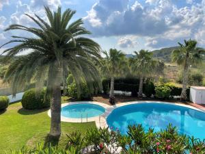 圣塔格鲁迪斯Authentic Villa with amazing pool的棕榈树庭院中的游泳池