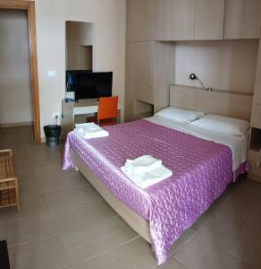 新福卡蓝天酒店的一间卧室配有一张紫色床、一张桌子和一台电视机
