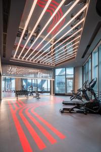 深圳深圳南山蛇口邮轮中心CitiGO欢阁酒店的大楼内带跑步机和有氧器材的健身房