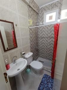 瓦迪穆萨Petra downtown house的浴室配有卫生间、盥洗盆和淋浴。