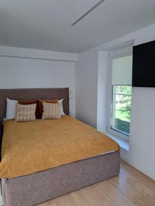 帕兰加Kurortas Apartments的一间卧室设有一张大床和一个窗户。