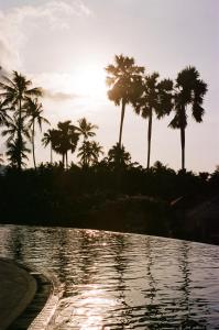 湄南海滩Napasai, A Belmond Hotel, Koh Samui的棕榈树环绕的水池