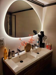 Feigèresappartement cosy的一间带大镜子的盥洗盆的浴室