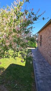 迪南Gîte rural "l'Anseromia"的砖边人行道旁一棵有粉红色花的树
