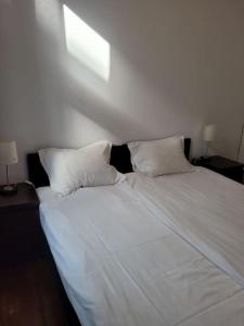 罗兹Rent-Apart City Center - apartament z 1 sypialnią的一张白色的床,上面有两个枕头