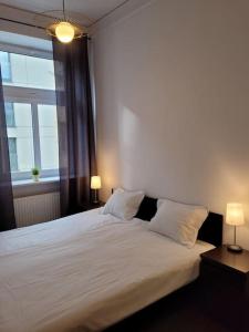 罗兹Rent-Apart City Center - apartament z 1 sypialnią的一间卧室配有一张带两盏灯的大型白色床。