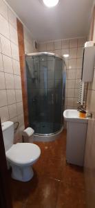 泰里克兹绿屋乡村民宿的浴室配有卫生间、淋浴和盥洗盆。