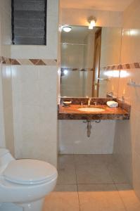 库斯科Florida del Inca Hotel的一间带卫生间和水槽的浴室