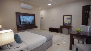 塞拉莱Anisa Residential Complex的一间卧室配有一张床、一张书桌和一台电视