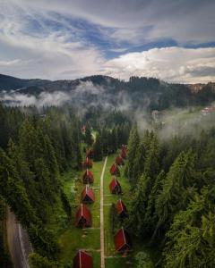 潘波洛沃Complex Malina Pamporovo的享有森林树木和帐篷的空中景致