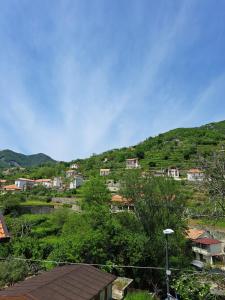 PianilloIl Rio Penise的山丘上的一个村庄,有房子和树木