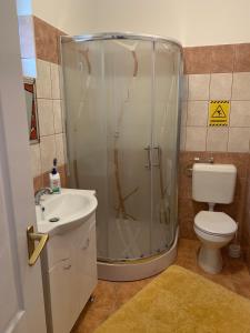 沙罗什保陶克Braun vendégház的带淋浴、卫生间和盥洗盆的浴室