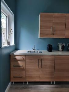 莱特肯尼Studio的一个带木制橱柜和水槽的厨房