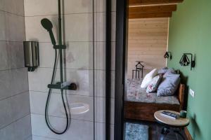 KáptalantótiIstvándy Birtok的带淋浴的浴室和1张床