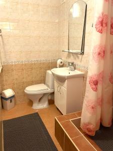 叶尔加瓦Riverside Motel Jelgava的一间带卫生间、水槽和镜子的浴室