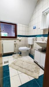 波希基斯卡贝拉Fantastic Apartment Brglez的一间带卫生间和水槽的浴室