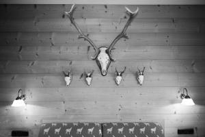 雷特温克尔Haus Sonnwies的天 ⁇ 座头挂在墙上,有四个鹿角