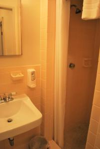 大洋城Lankford Hotel and Lodge的一间带水槽和淋浴的浴室