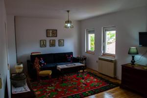 萨拉热窝Udobna kuća u srcu starog grada & Besplatan parking!的客厅配有蓝色的沙发和红色地毯。