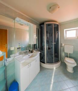 奥西耶克Kuća za najam Villa Monika的带淋浴、盥洗盆和卫生间的浴室