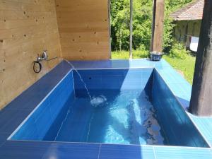 埃伦娜Balkan Mountains Villa Spa的蓝色瓷砖地板房子内的游泳池