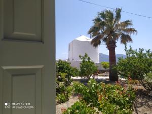 普拉卡米洛斯希亚多公寓的棕榈树和建筑的房子