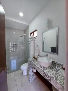莫雷利亚Casa Allende Morelia的一间带水槽、卫生间和淋浴的浴室