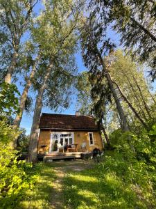 Suure-JaaniAllika-Löövi Sauna Cabin的森林中间的小房子