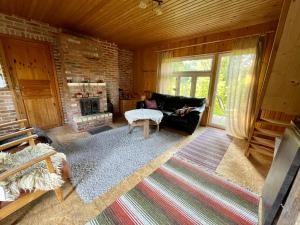 Suure-JaaniAllika-Löövi Sauna Cabin的带沙发和壁炉的客厅