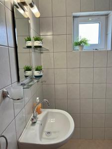 阿尔贝纳Villa MAXIMILIYAN的浴室设有水槽、镜子和盆栽植物