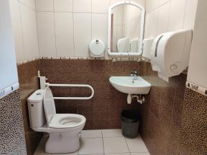IkšķileKaķumuiža的一间带卫生间和水槽的浴室