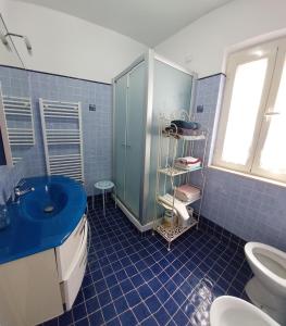 阿斯科利皮切诺Relax vicino Ascoli Piceno的蓝色瓷砖浴室设有水槽和卫生间