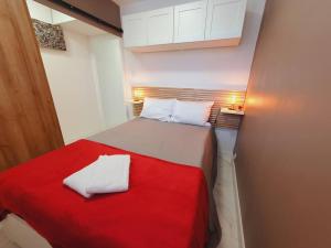 拉格朗德默特T2 Magellan Centre-ville - Clim Wifi Terrasse - ROSSIconciergerie - Linge inclus的小房间,配有一张带红色毯子的床