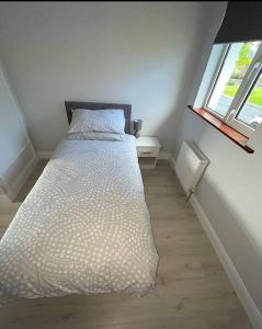 斯莱戈Avondale Lodge的一间带床的卧室,位于带窗户的房间内