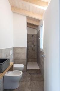卡伊罗蒙泰诺泰Ca' Brichella的带淋浴、卫生间和盥洗盆的浴室