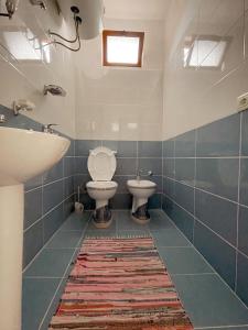克鲁亚Vila 8 Kruje的一间带卫生间和水槽的浴室