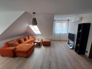 布拉迪斯拉发Útulný apartmán v Bratislava 4的带沙发和电视的客厅