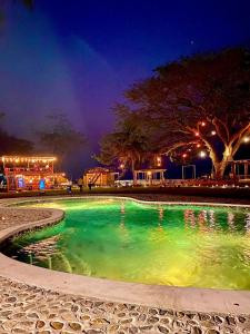 奥莫阿Sunset Hut Hostel的公园里的一个绿色的泳池